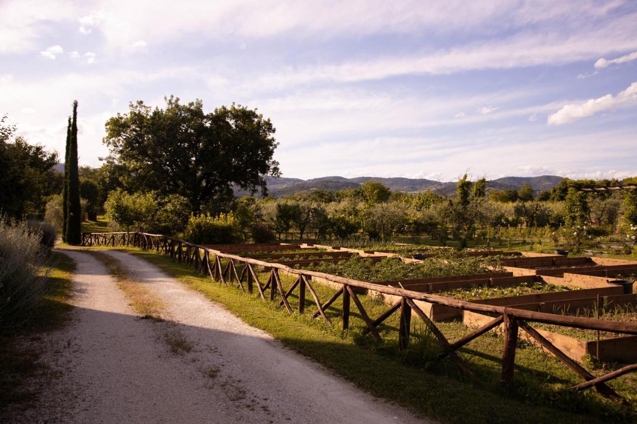 Cuprena Villa Arezzo Eksteriør bilde