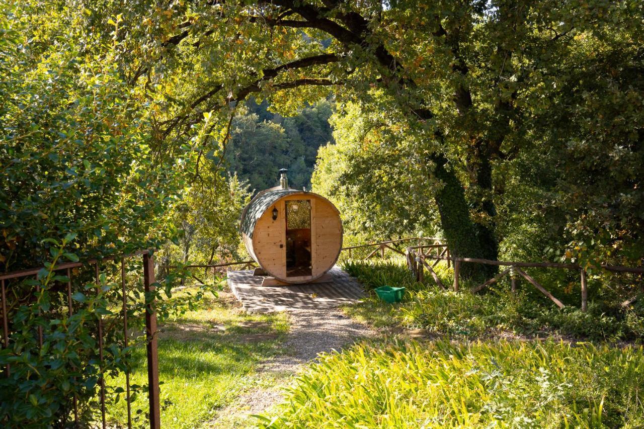 Cuprena Villa Arezzo Eksteriør bilde